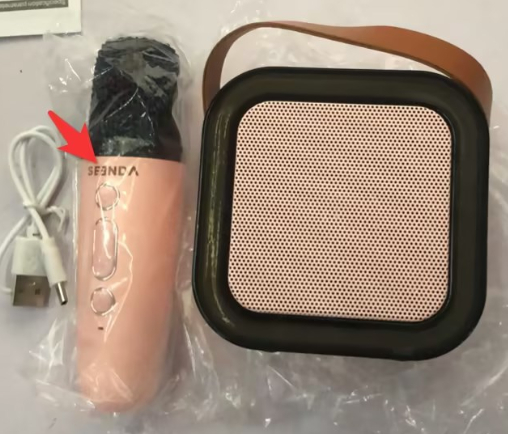 Wireless Bluetooth Speaker & Microphone